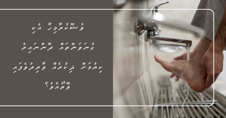 ވުޟޫކުރާމިހާ އެކި ގުނަވަންތައް ދޮންނައިރު ކިޔުމަށް ޛިކުރެއް ވާރިދުވެފައި ވޭތޯއެވެ؟