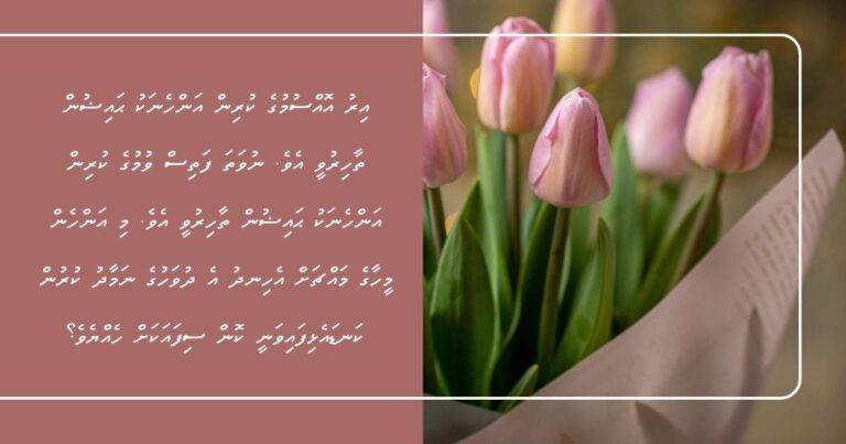 އިރު އޮއްސުމުގެ ކުރިން އަންހެނަކު ޙައިޟުން ތާހިރުވީ އެވެ. ނުވަތަ ފަތިސް ވުމުގެ ކުރިން އަންހެނަކު ޙައިޟުން ތާހިރުވީ އެވެ. މި އަންހެން މީހާގެ މައްޗަށް އެހިނދު އެ ދުވަހުގެ ނަމާދު ކުރުން ކަނޑައެޅިފައިވަނީ ކޮން ސިފައަކަށް ހެއްޔެވެ؟